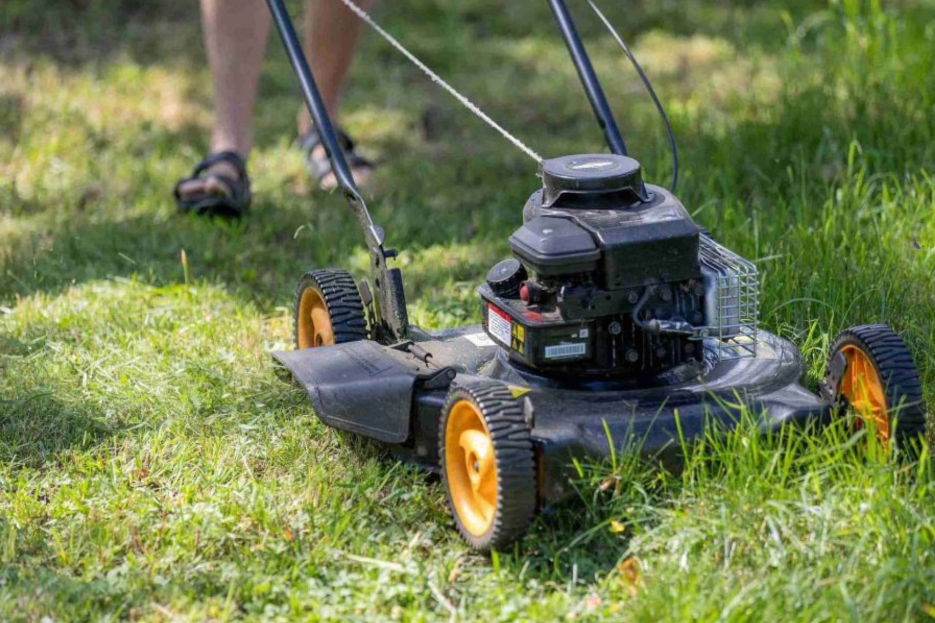 Sonora lawn care service