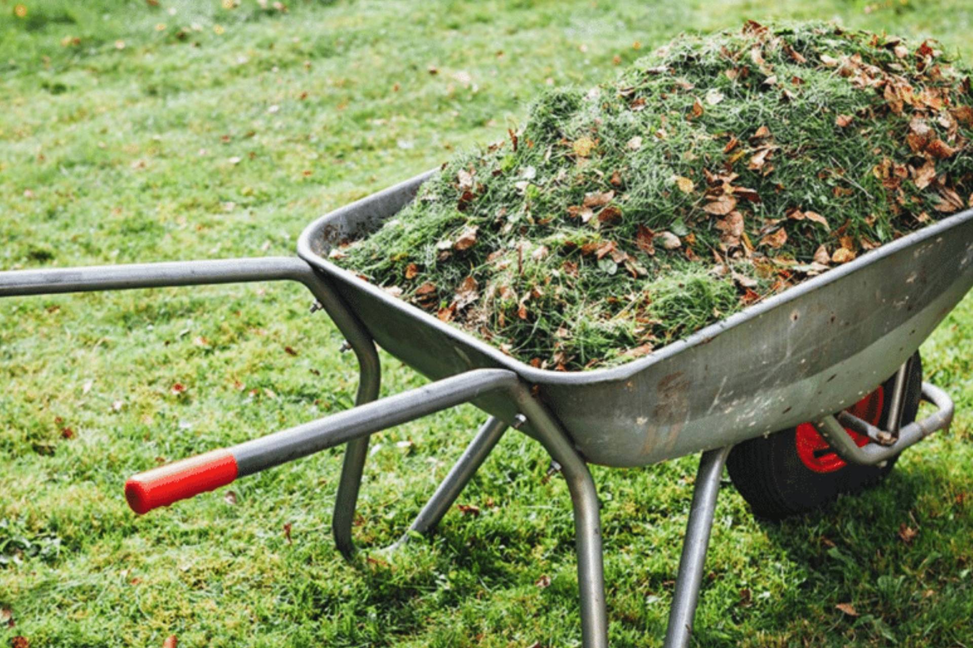 Overgrown yard clean-up service