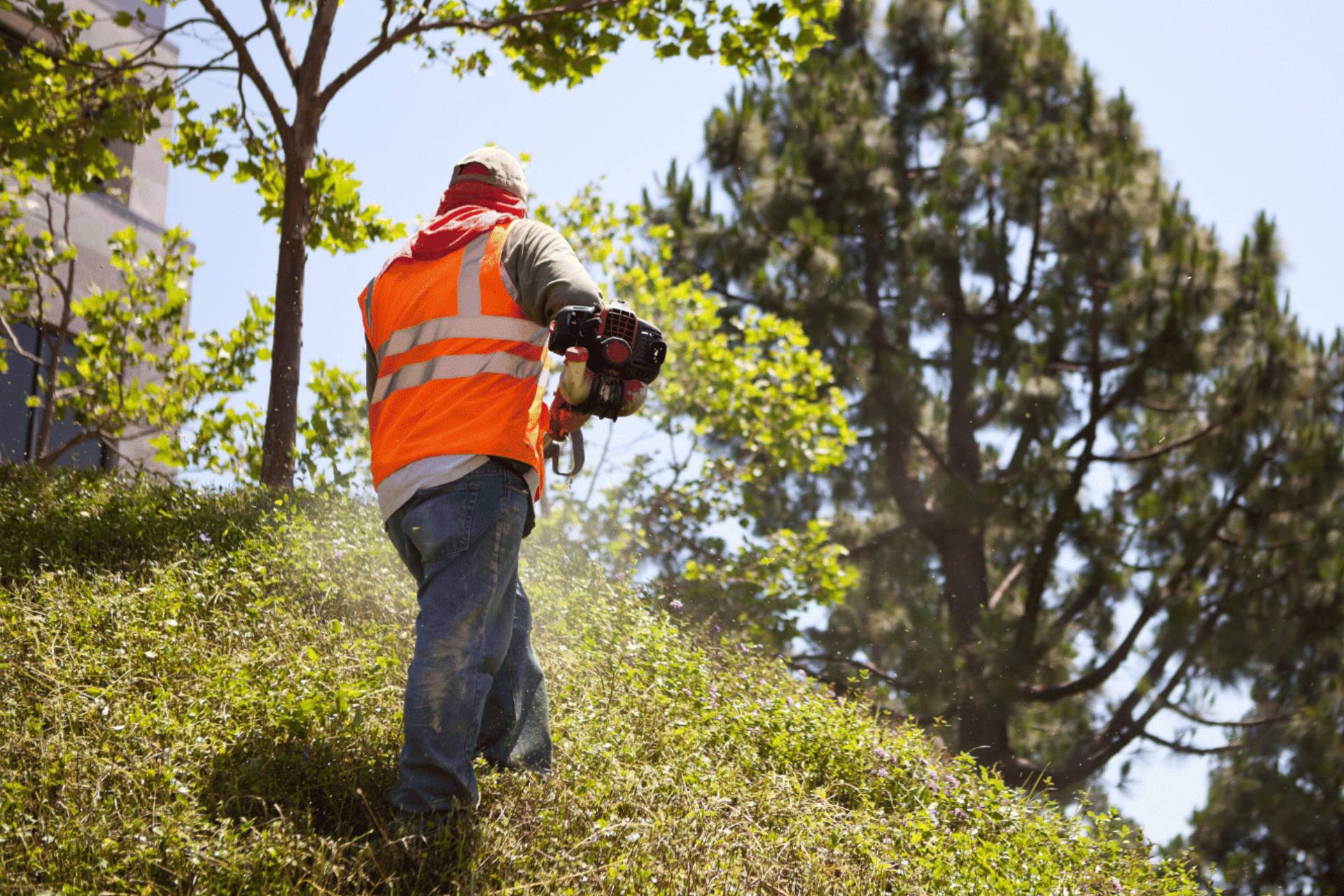 Pet waste removal servic