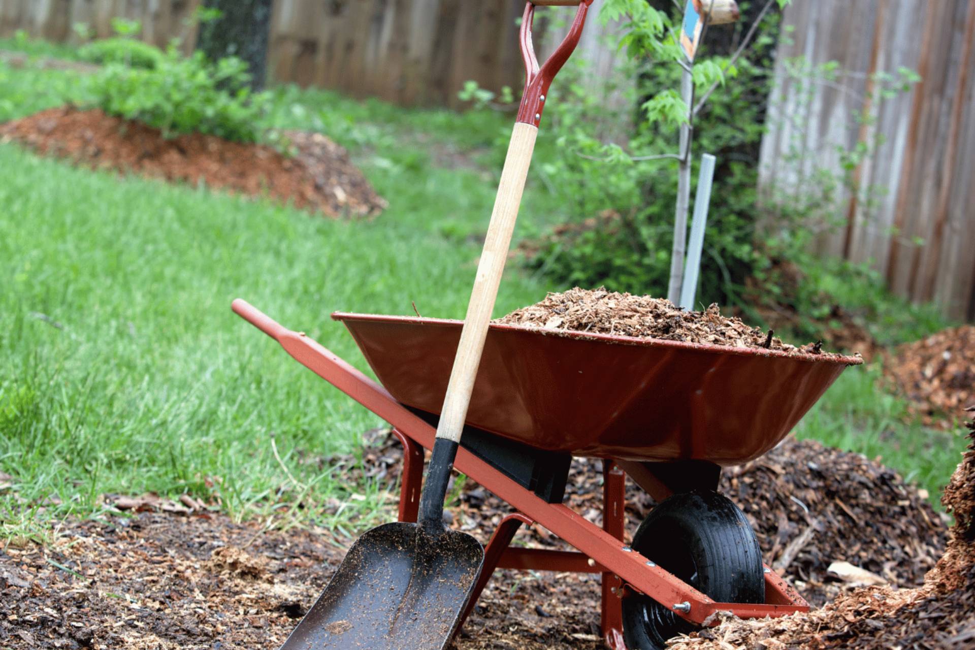 Yard clean-up service in Sonora